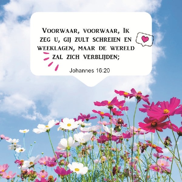Johannes 16:20