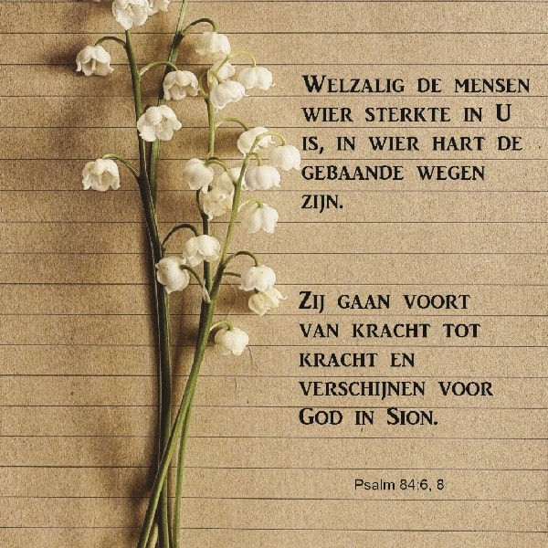 Psalm 84:6 en 8