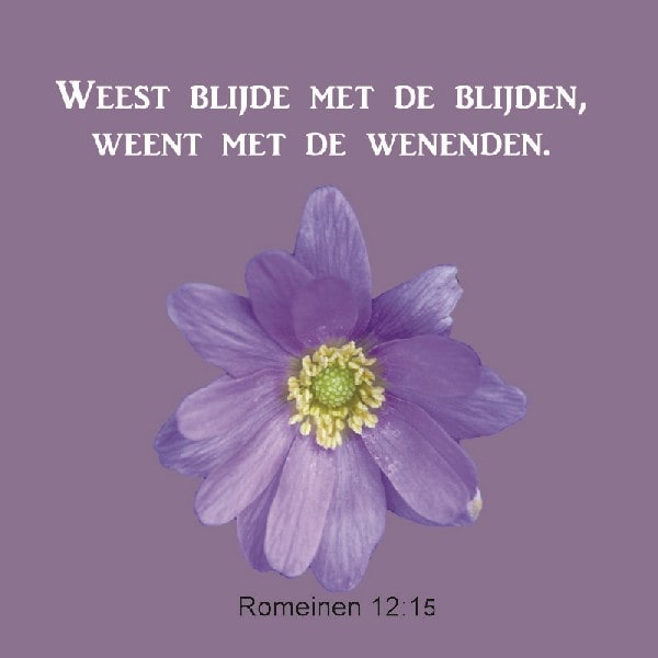 Romeinen 12:15