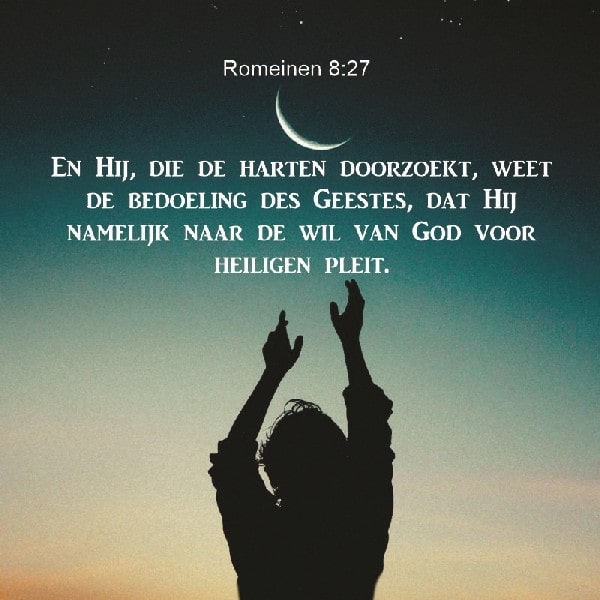 Romeinen 8:27