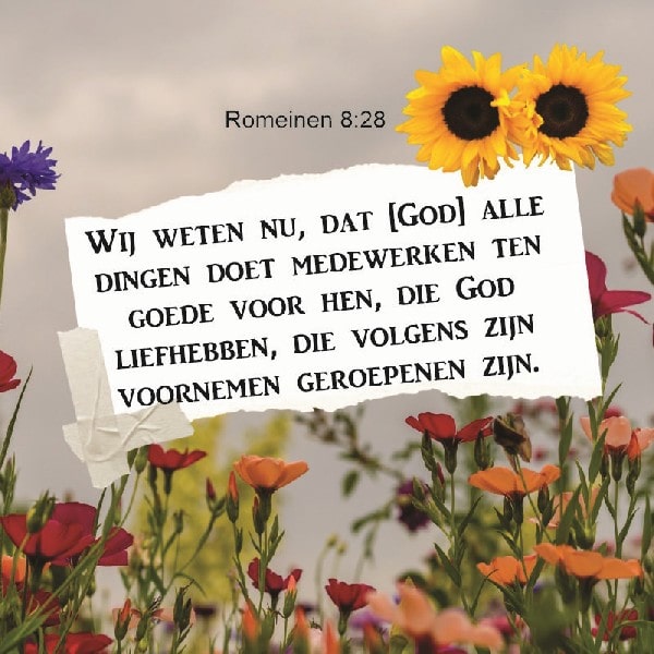 Romeinen 8:28