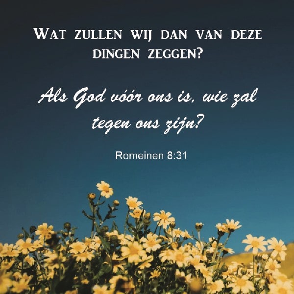 Romeinen 8:31