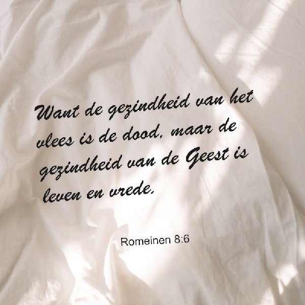 Romeinen 8:6