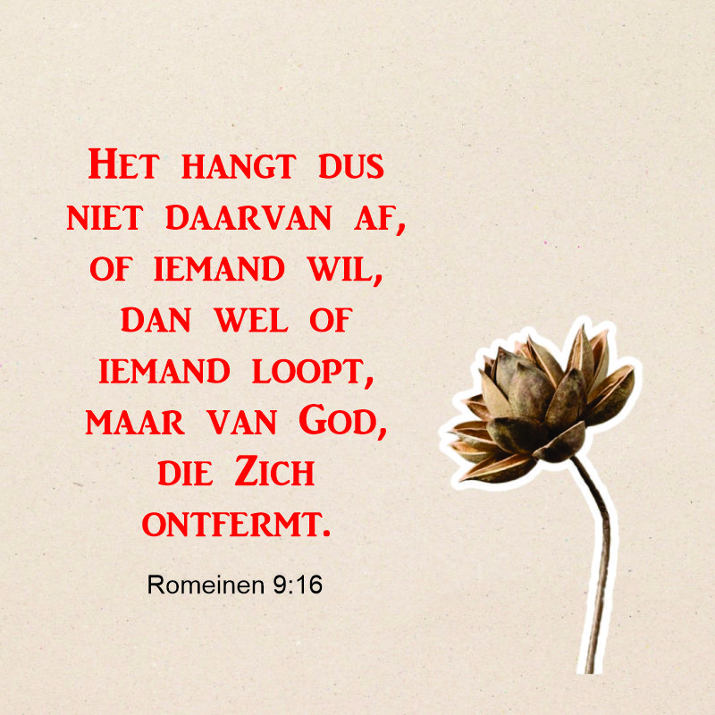 Romeinen 9:16