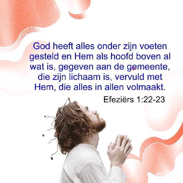 Efeziërs 1:22-23