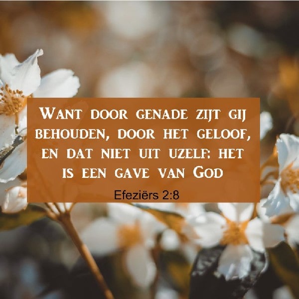 Efeziërs 2:8