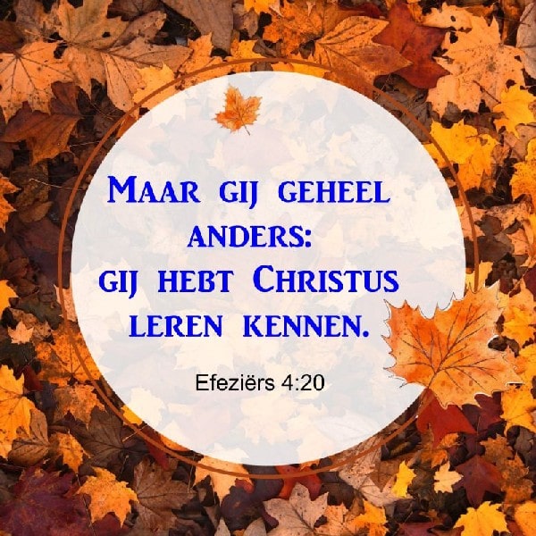 Efeziërs 4:20