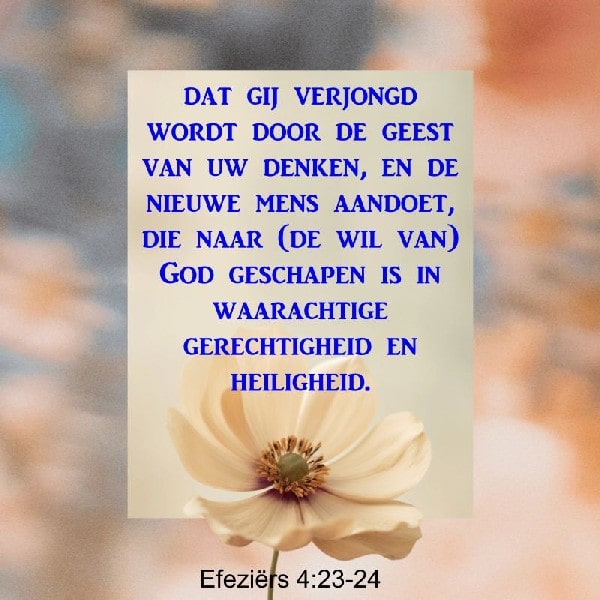 Efeziërs 4:23-24