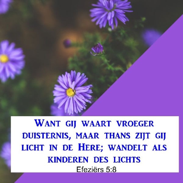 Efeziërs 5:8