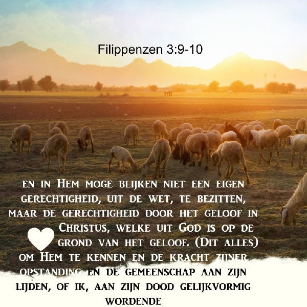 Filppenzen 3:9