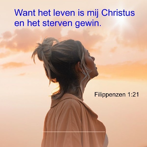 Filppenzen 1:21