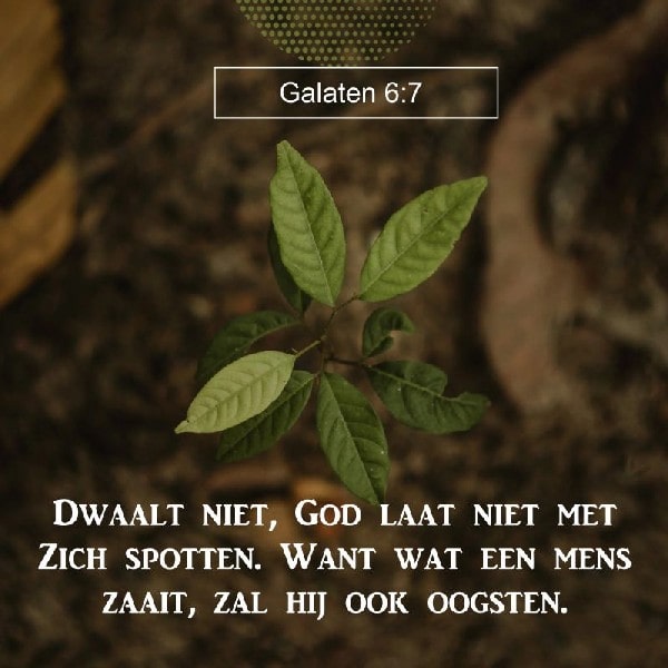 Galaten 6:7