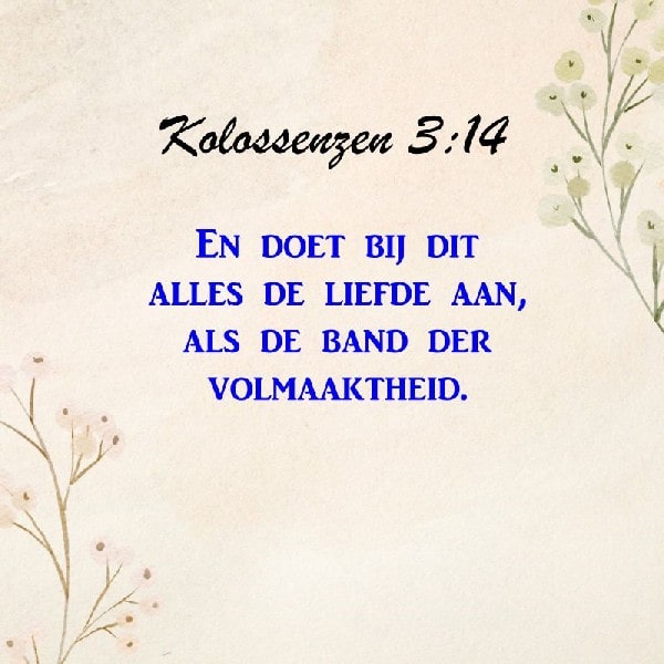 Kolossenzen 3:14