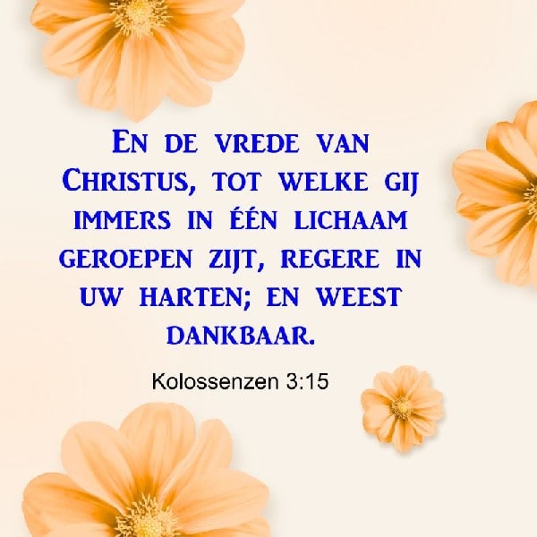 Kolossenzen 3:15
