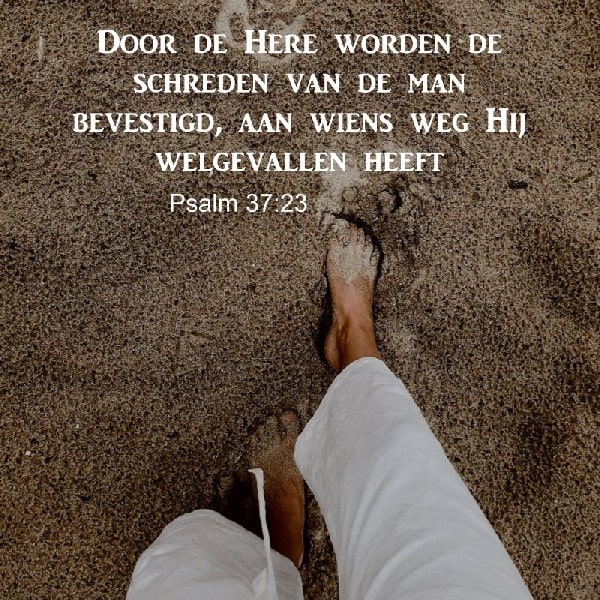 Psalm 37:23