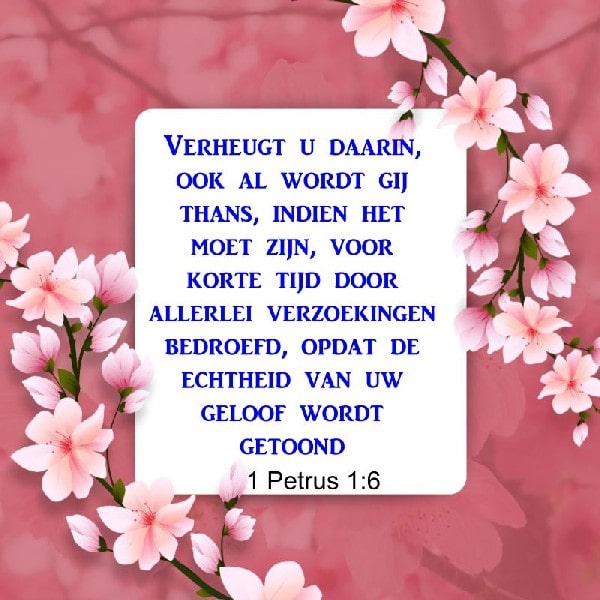 1 Petrus 1:6