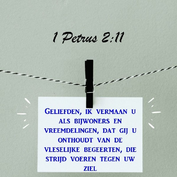 1 Petrus 2:11