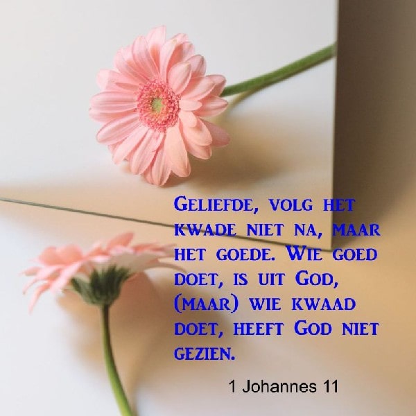3 Johannes 11