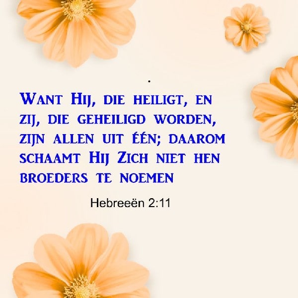 Hebreeën 2:11
