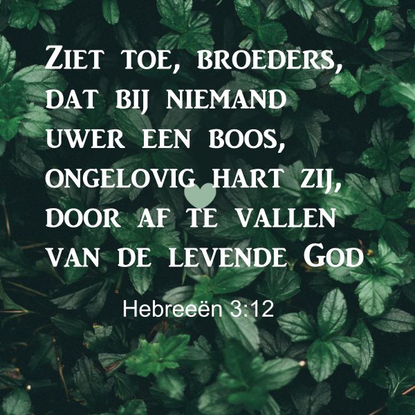 Hebreeën 3:12