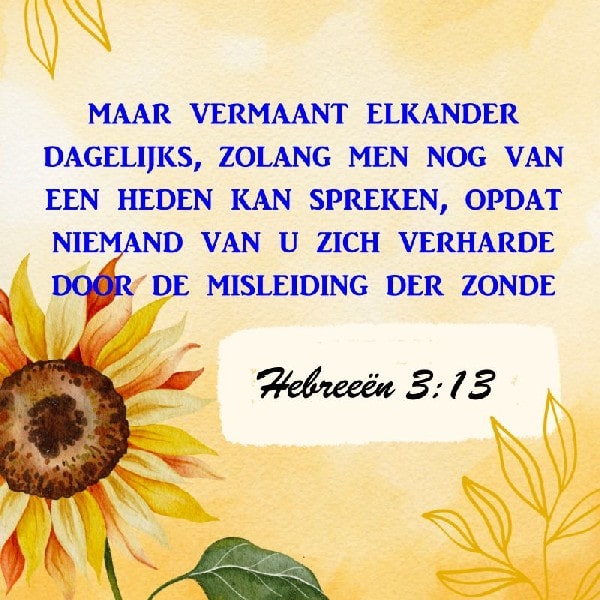 Hebreeën 3:13