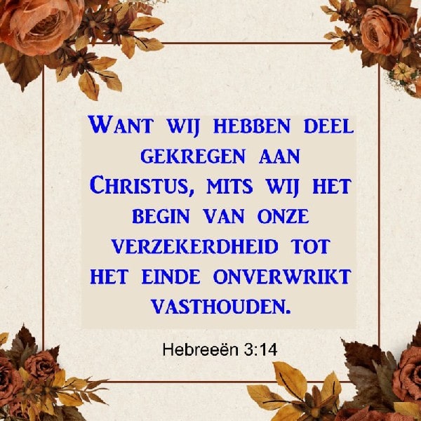 Hebreeën 3:14
