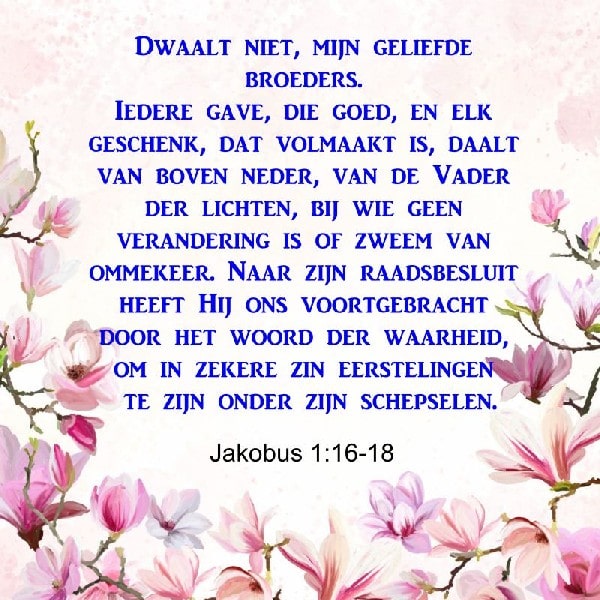 Jakobus 1:16-18