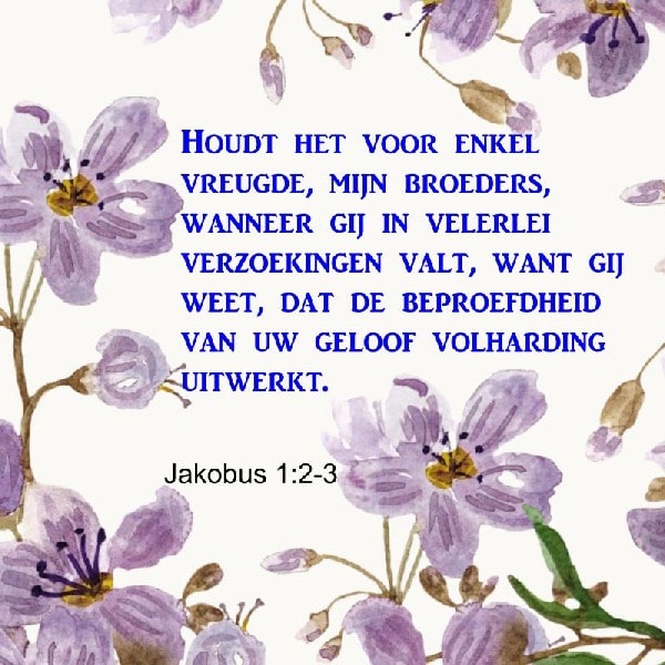 Jakobus 1:2-3