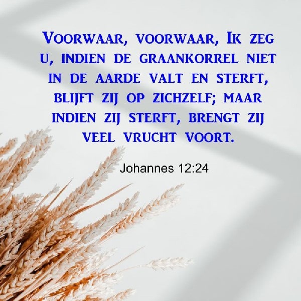 Johannes 12:24