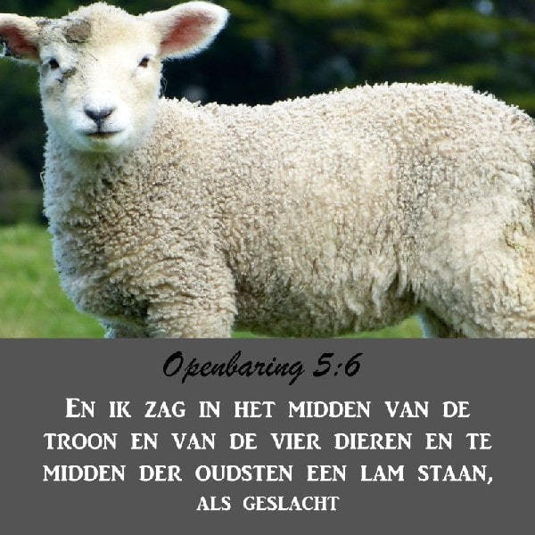Openbaring 5:6