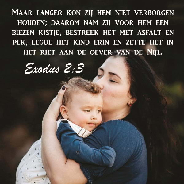 Exodus 2:3