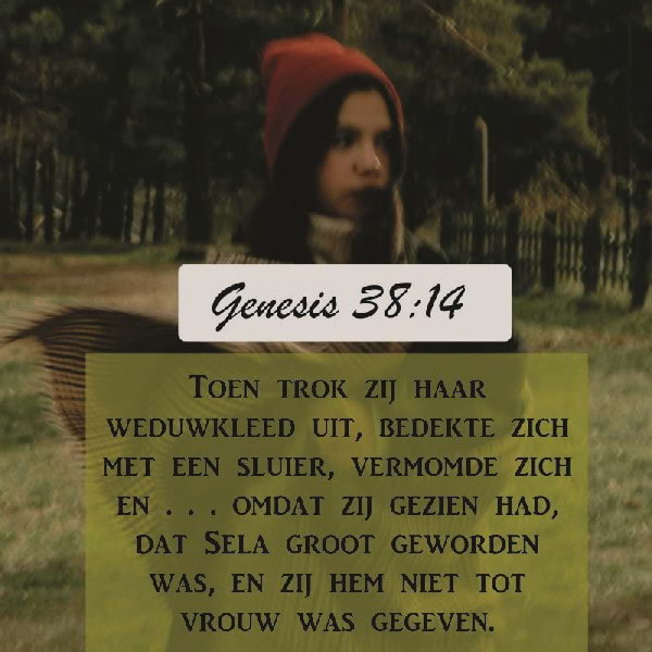Genesis 38:14-19
