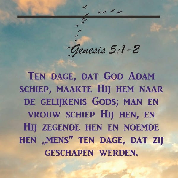 Genesis 5:1-2