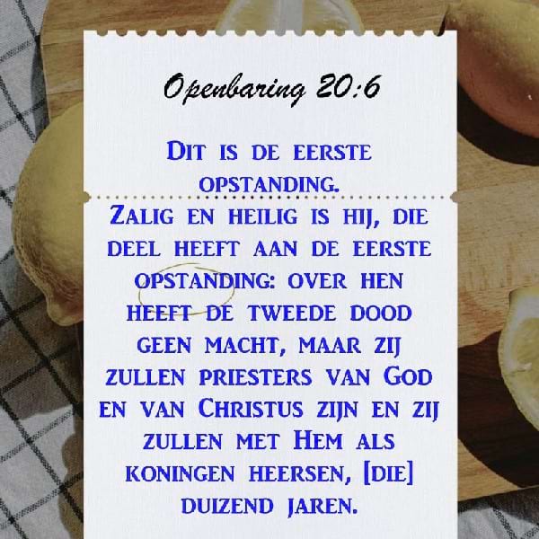 Openbaring 20:6