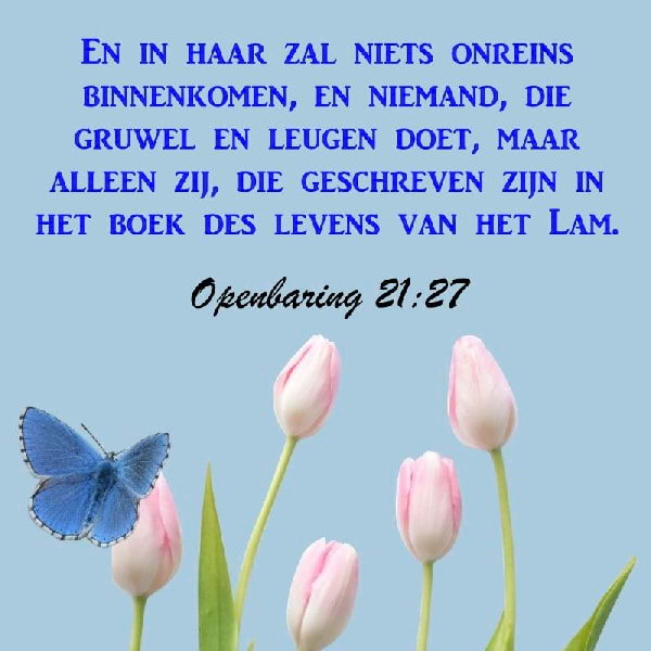 Openbaring 21:27